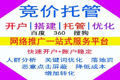 百度搜索推广案例集锦：实战技巧与策略解析